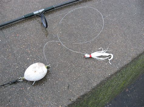Catching Stripers Under the Sun .